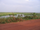 Fleuve Nyong