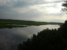 Fleuve Nyong, réservoir naturel du Mycobacterium Ulcerans