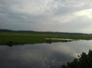 Fleuve Nyong, réservoir naturel du Mycobacterium Ulcerans