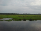 Fleuve Nyong, réservoir naturel du Mycobacterium Ulcerans