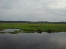 Fleuve Nyong, réservoir naturel du Mycobacterium Ulcerans